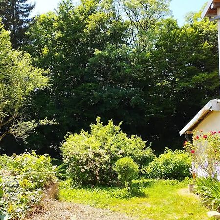 Les Glycines, Un Air De Campagne A La Ville Besançon Dış mekan fotoğraf